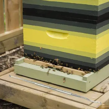 Инструменты для пчеловодства из нержавеющей стали для пересадки игл, перемещающих червей, прививки пчел