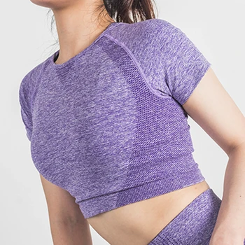 FITTOO, однотонная бесшовная рубашка для йоги, женский укороченный топ для фитнеса с коротким рукавом, Тренировочные топы, одежда для спортзала, Спортивная одежда, футболки для бега.