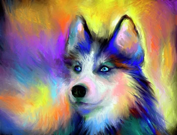 JMINE Div 5D Красочная Собака Хаски Полная Алмазная Живопись наборы для вышивки крестом art Высококачественная Животная 3D краска с бриллиантами